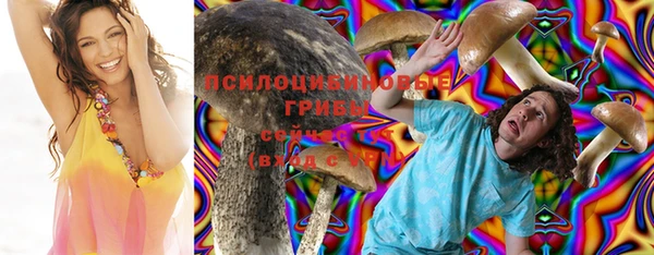 твердый Заволжск