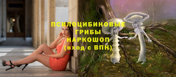ALPHA PVP Заводоуковск