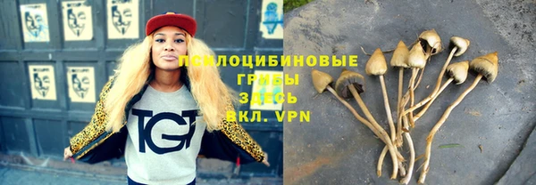 твердый Заволжск