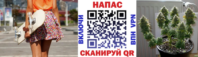 Бошки Шишки индика  Купить закладки  Калининск 